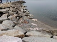 Bandırma'da deniz çekilmesi artarak devam ediyor