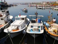 Tekirdağ'da küçük tekneler, limana sardalyayla dönüyor