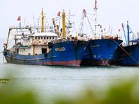 Çin'de yaz mevsimi balık avı yasağı başladı