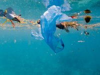 Mikroplastikler, Akdeniz'i tehdit ediyor
