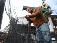 Düzce ve Kocaeli'de balıkçılar, kıyı avcılığına hazırlanıyor