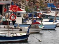 Antalya'da Balıkçılık Çalıştayı düzenlenecek