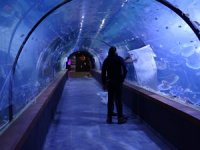 Tünel Akvaryum, 19 Mayıs’ta açılacak