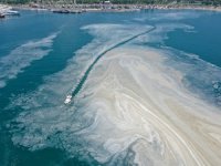 Marmara Denizi'nde yeniden müsilaj görülebilir