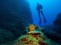 21. Uluslararası Kemer Sualtı Günleri başlıyor