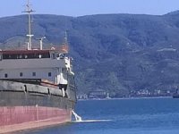 İzmit Körfezi'ni kirleten 'Artey' isimli gemiye 1.7 milyon TL para cezası kesildi