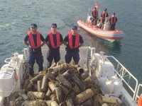 Çanakkale Boğazı’ndan bin 614 adet ahtapot tuzağı çıkarıldı