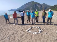 Çıralı'da ilk caretta caretta yuvası tespit edildi