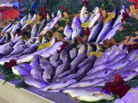 Av yasağına rağmen balıkçı tezgâhları boş kalmadı