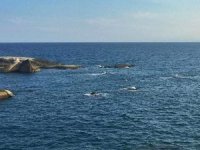 Çin'de deniz seviyesi son 40 yılın zirvesine ulaştı