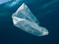 Avustralyalı araştırmacılar, okyanuslarda mikroplastikler tespit etti