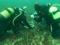 Ege'nin su altı zenginliği deniz çayırları kayıt altına alınıyor