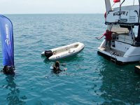 DP World Yarımca, mercan köprüsünü yeniden canlandırıyor