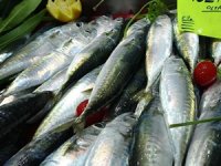 Çanakkale'de balık tezgahlarında fiyatlar arttı