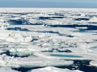 Kuzey Kutbu, ortalamadan 7 kat fazla ısındı