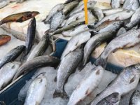 Balıkçılar yeni sezonu iple çekiyor