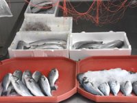 Karadeniz’de balık avcılığı, küçük teknelerle devam ediyor