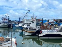 Balıkçılar, yeni sezonda palamudun bol olmasını bekliyor