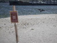 Odessa’da mayın tehlikesi nedeniyle denize girilemiyor