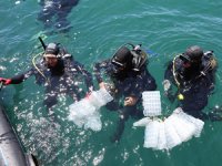 Çanakkale’de 300 yavru ıstakoz denize bırakıldı