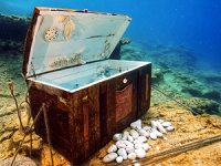 Mavi sürgün sualtı sergisi fotoğraf meraklılarını bekliyor