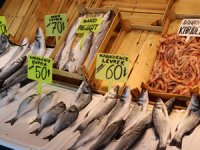 Bandırma Balık Hali’nde tezgahlar canlandı