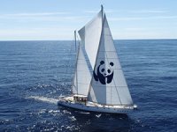 Mavi Panda, Türkiye’ye doğru yola çıktı