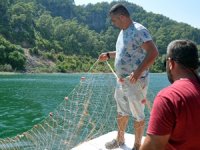 Deniz kaplumbağalarının balıkçılık faaliyetlerinden etkilenmemesi sağlanacak