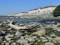 Avrupa’da 500 yılın en ağır kuraklığı yaşanıyor