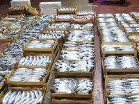 Balıkçılar sezonun ilk avından döndü