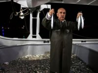 Tarım ve Orman Bakanı Kirişci: Ziraat Bankası, balıkçılarımıza işletme kredisi kullandıracak