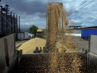 Tahıl sevkiyatı sürüyor: 12 gemi daha Ukrayna’dan hareket etti