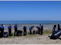 Zabıta ekipleri, Van Gölü sahilinde temizlik çalışması yaptı