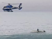 Su yüzeyine çıkmak isteyen balina 5 kişiyi öldürdü! Tekne alabora oldu