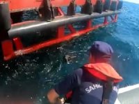 Sahibiyle Yüzerken Denizde Kaybolan Köpeği Sahil Güvenlik Kurtardı