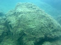 ‘Hayalet ağ’lar deniz ekosistemini tehdit ediyor