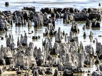 Kuraklık Van Gölü'nde binlerce yılda oluşan mikrobiyalitleri etkiliyor