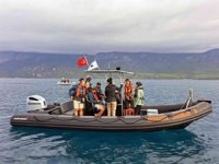 Akdeniz Koruma Derneği'nin Gökova Körfezi çalışması dünyaya örnek