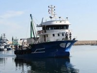 Palamut bolluğu yaşanan Karadeniz'de balıkçıların mayın endişesi