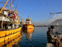 Bakanlıktan tepki çeken karar: İstanbul Boğazı endüstriyel balık avcılığı için kapatılacak