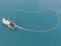 İstanbul Boğazı için 6 Kasım tartışması: Endüstriyel balık avcılığı için kapatılacak