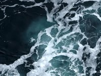 Deniz ve okyanusların karbon tutma kapasitesi risk altında