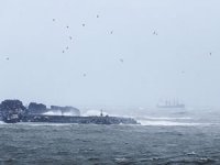 İstanbul'da deniz ulaşımına hava muhalefeti engeli