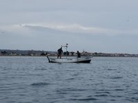 Karadeniz'in sahil köyünde geleneksel balıkçılıkla geçim mücadelesi