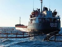 Didim’de kargo gemisi yapım aşamasındaki balık çiftliğine çarptı