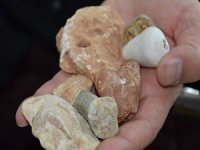 Bitlis’te 70 milyon yıllık deniz canlılarına ait fosiller bulundu