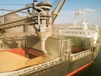 Ukrayna: Rusya tahıl koridorundaki çalışmalarda suni gecikmeler oluşturuyor