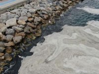 İstanbul’da müsilaj yeniden görüldü