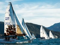 Arkas’ın Dört Silahşörleri Geldi!