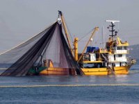 "Sürdürülebilir balıkçılık için avlanma yasağına uyulması" çağrısı